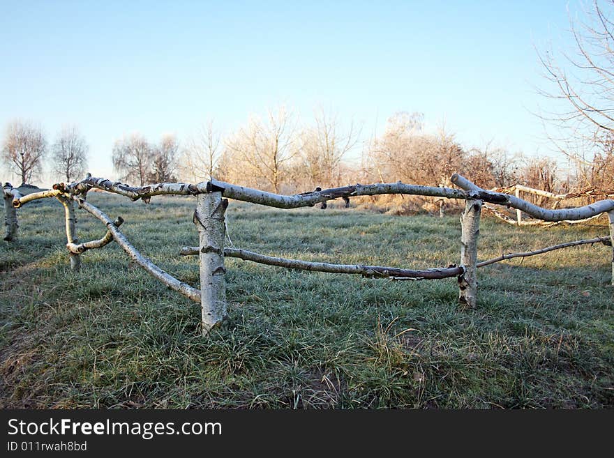 Frosted Wooden Fence