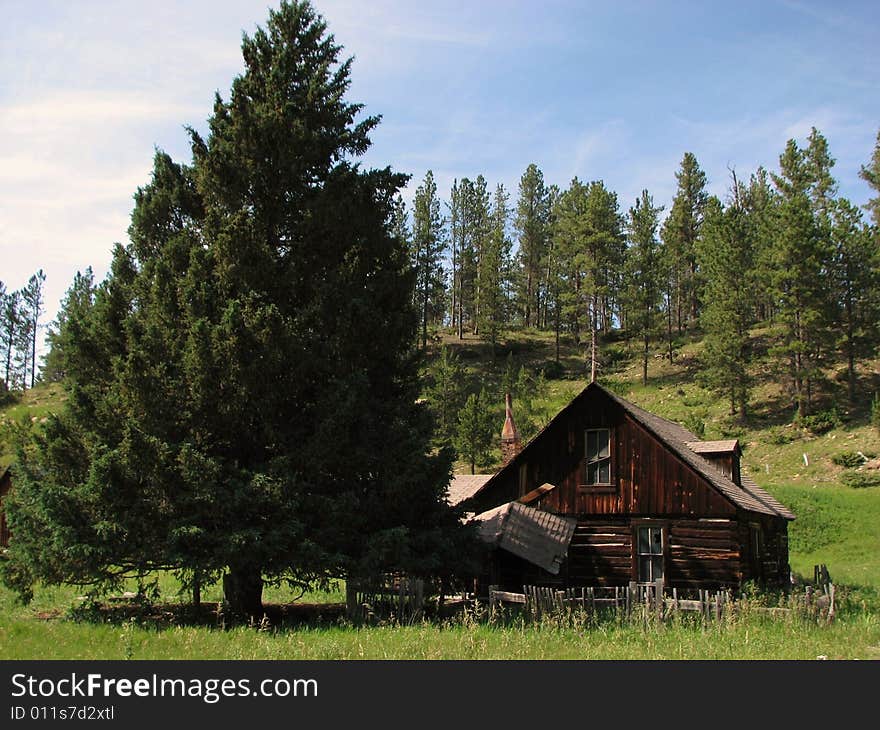 Taken In The Black Hills Of South Dakota. Taken In The Black Hills Of South Dakota