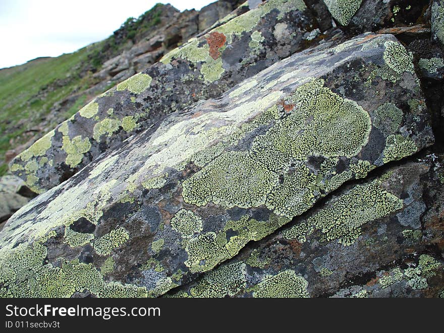 Lichen on the grey mountain stones. Lichen on the grey mountain stones