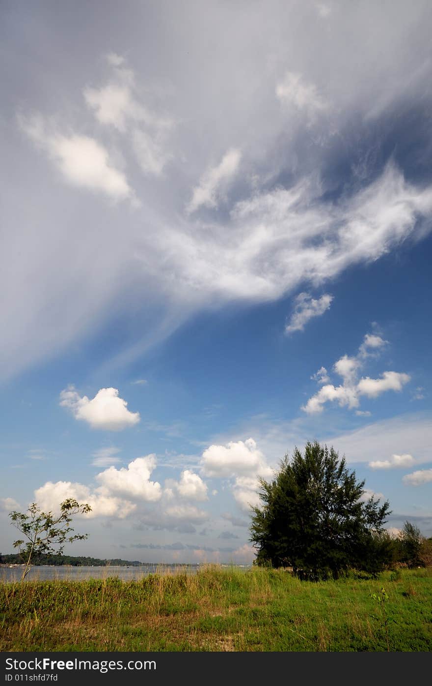 Calm fields and trees against the backdrop of clouds and the deep blue sky. Calm fields and trees against the backdrop of clouds and the deep blue sky.