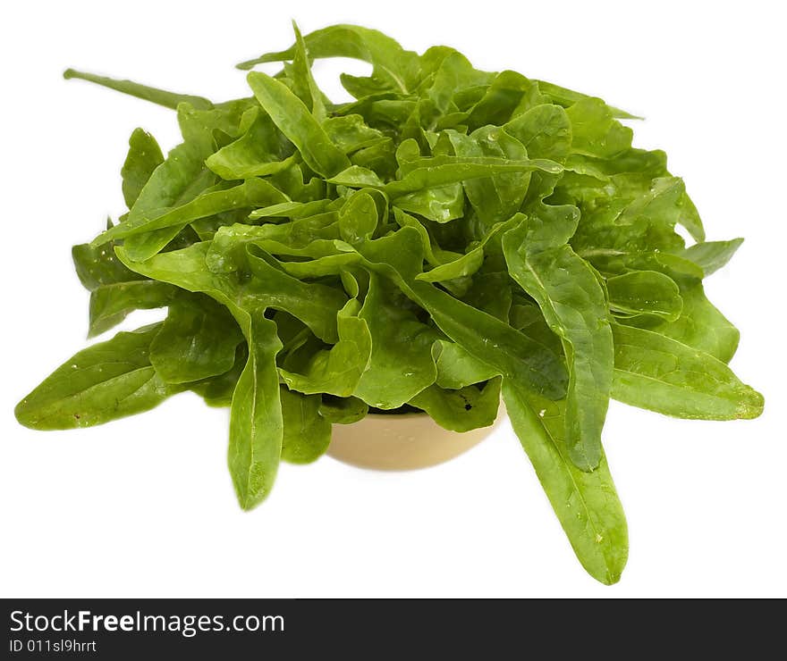 Head of lettuce isolated on white