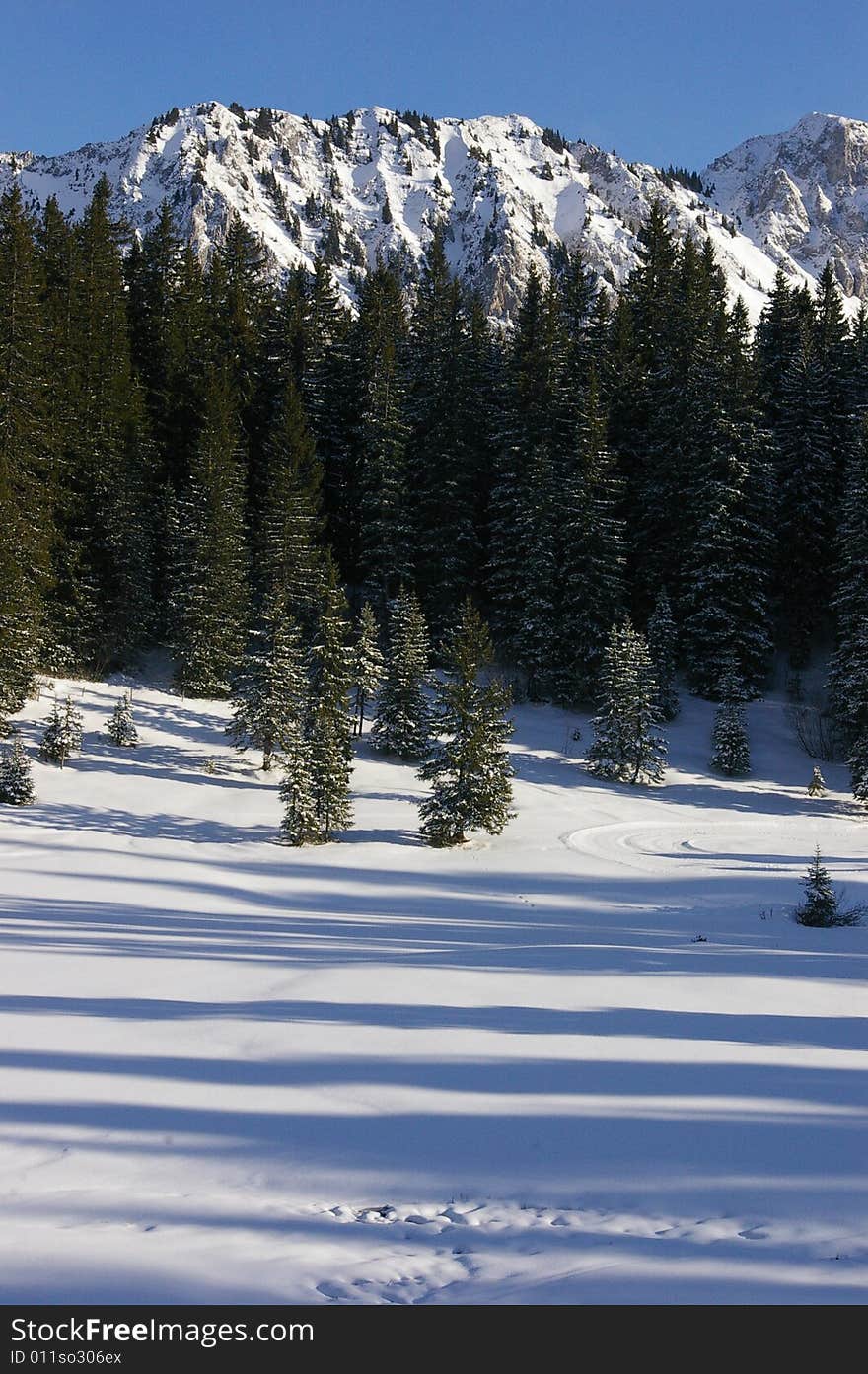 Shadows in the snow