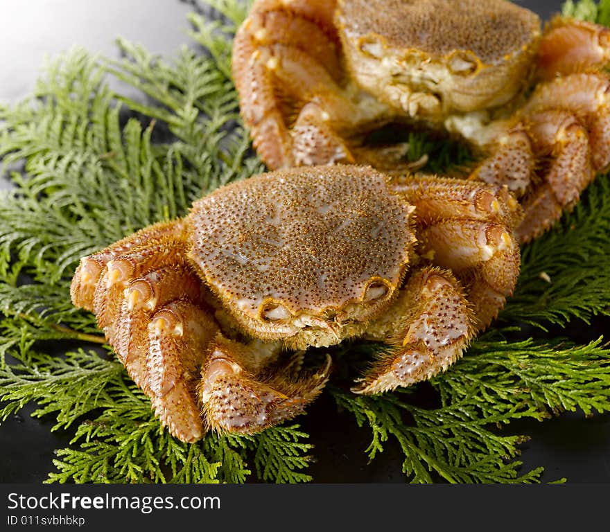 Seafood: two fresh raw crabs