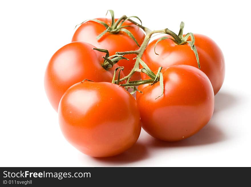 Fresh Tomatoes