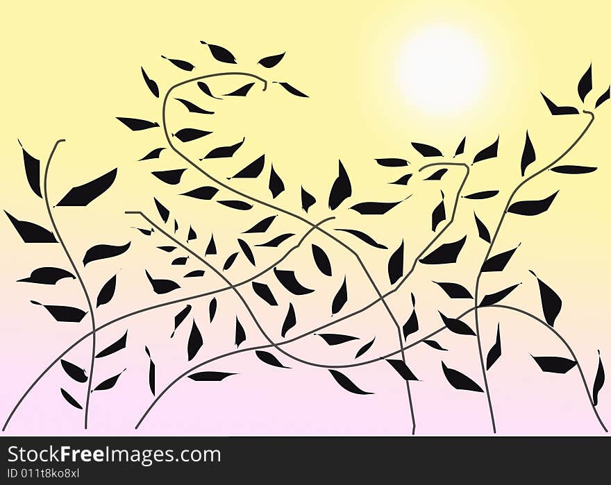 Leaves at Sunrise