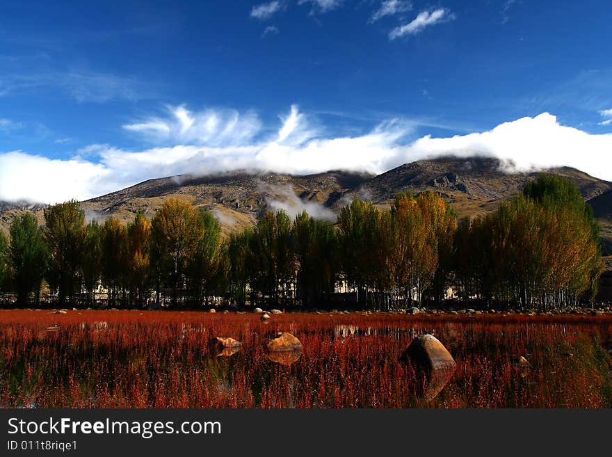 An amazing land in Daocheng . The grass will change into red in every autumn. An amazing land in Daocheng . The grass will change into red in every autumn.