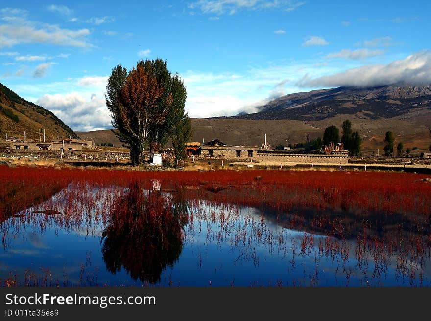 An amazing land in Daocheng. The grass will change into red every autumn. An amazing land in Daocheng. The grass will change into red every autumn