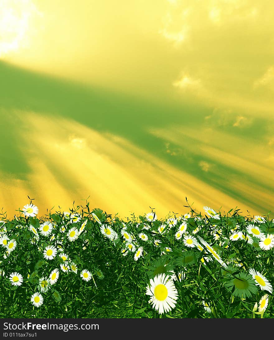 Beautiful field of flowers in the god rays. Beautiful field of flowers in the god rays