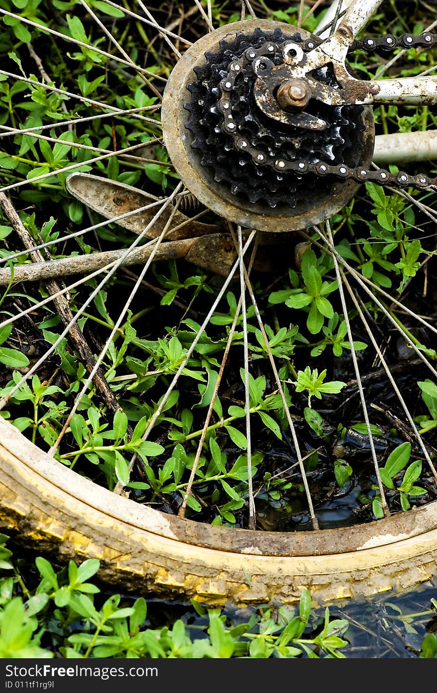 The wheel of the bicycle in the grasses