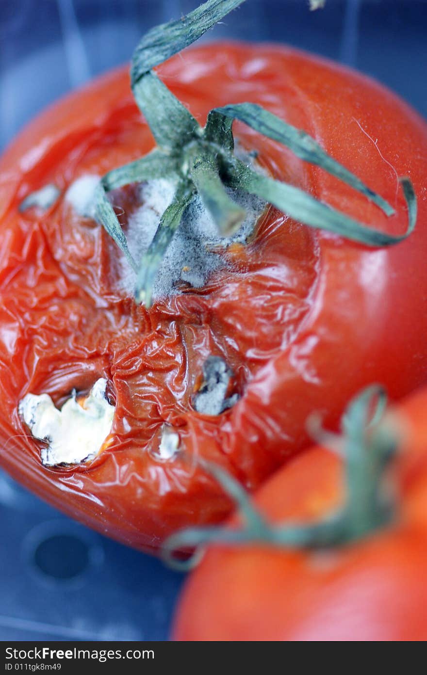 Putrefy and shit tomatoes in european supermarket. Putrefy and shit tomatoes in european supermarket