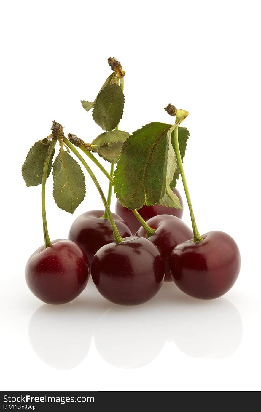 Ripe cherries with stems on white background. Ripe cherries with stems on white background