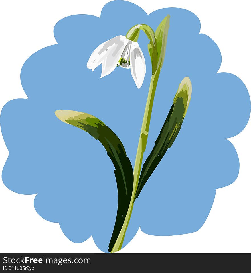 Snowdrop