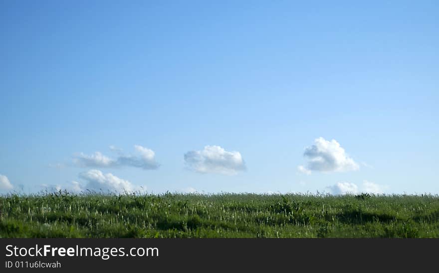 Green field