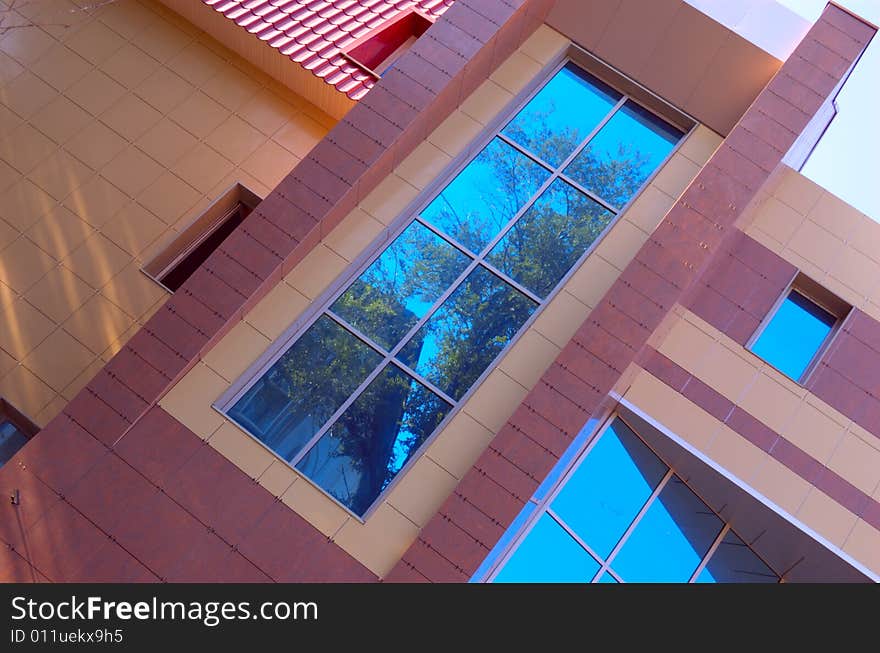 Wall of new modern office building with reflections of trees. Wall of new modern office building with reflections of trees