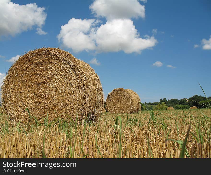 Hay bales with blue sky and white clouds