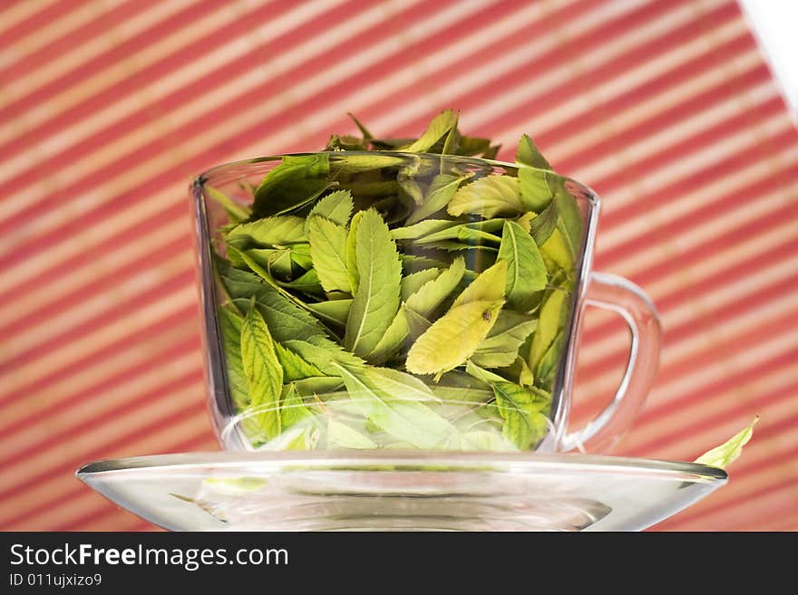 Cup full of leaves on striped background. Green tea freshness. Natural Drink.