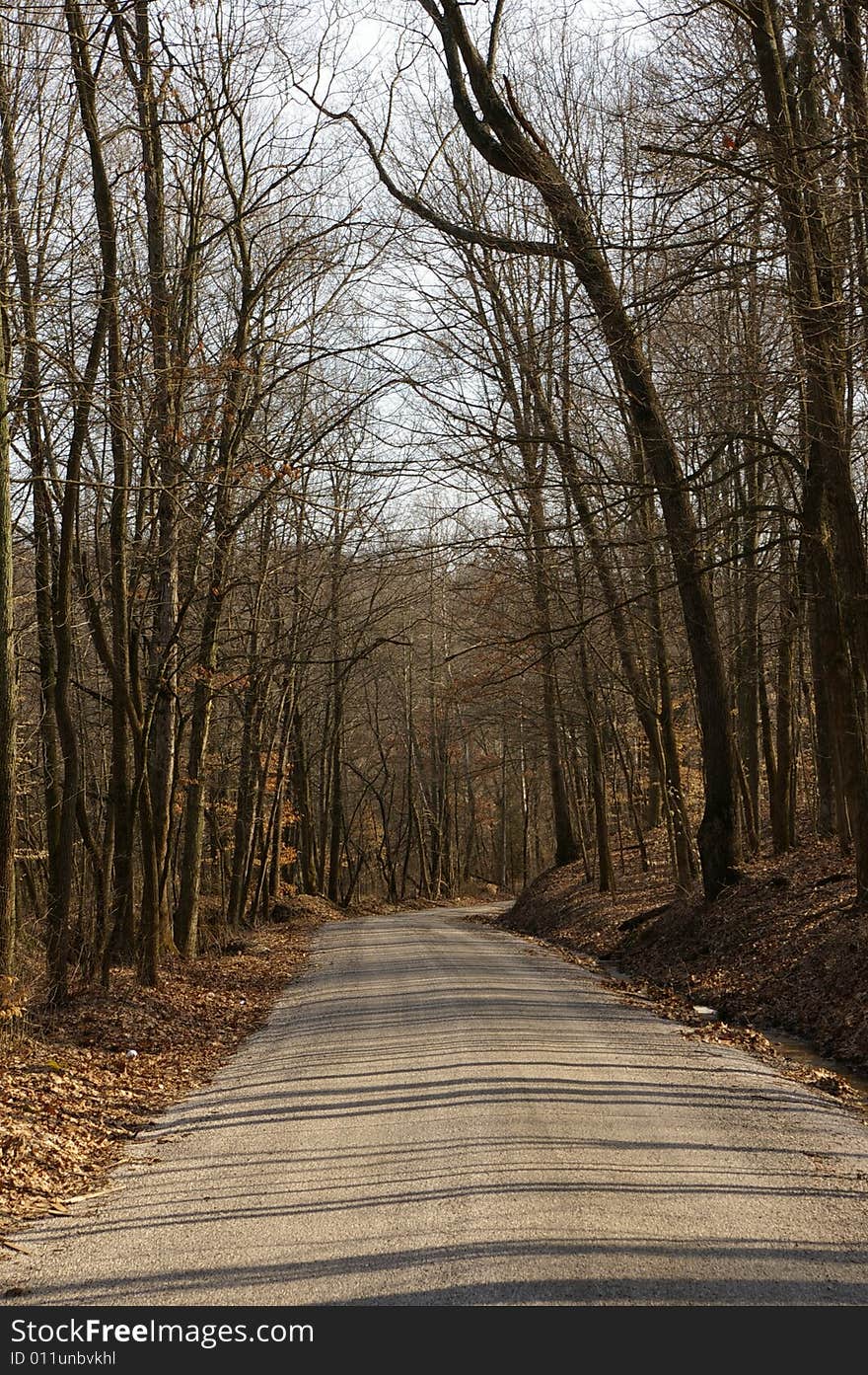 Road through the forest in rural Indiana. Road through the forest in rural Indiana.