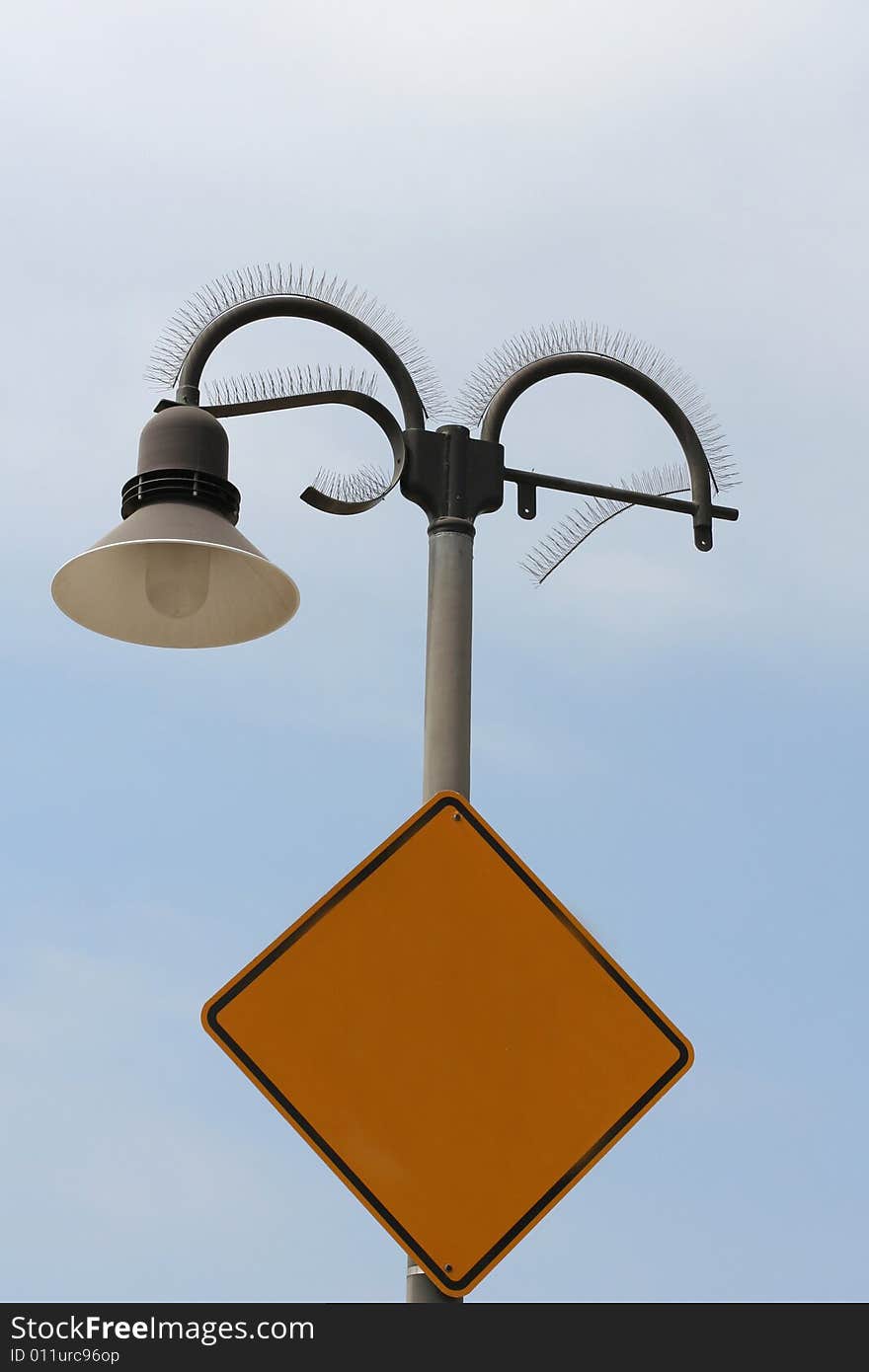 Blank street sign attached to a cool looking light post. Sign is incomplete so that you can put your own writing on the sign!. Blank street sign attached to a cool looking light post. Sign is incomplete so that you can put your own writing on the sign!