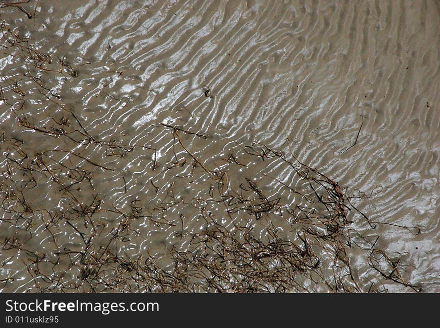 A piece of mud land in the outlet of Huangpu river. A piece of mud land in the outlet of Huangpu river.