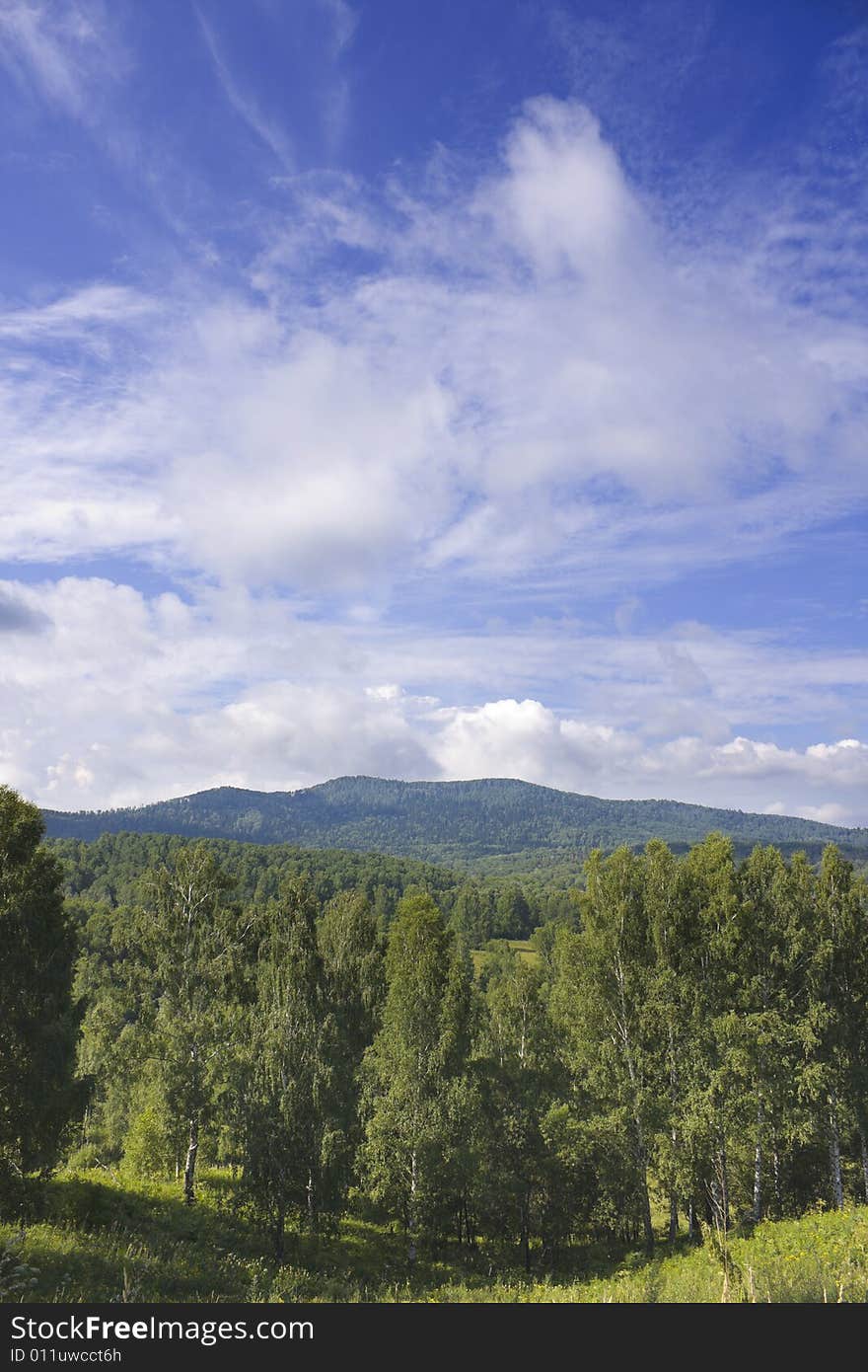 Landscape with the fine sky