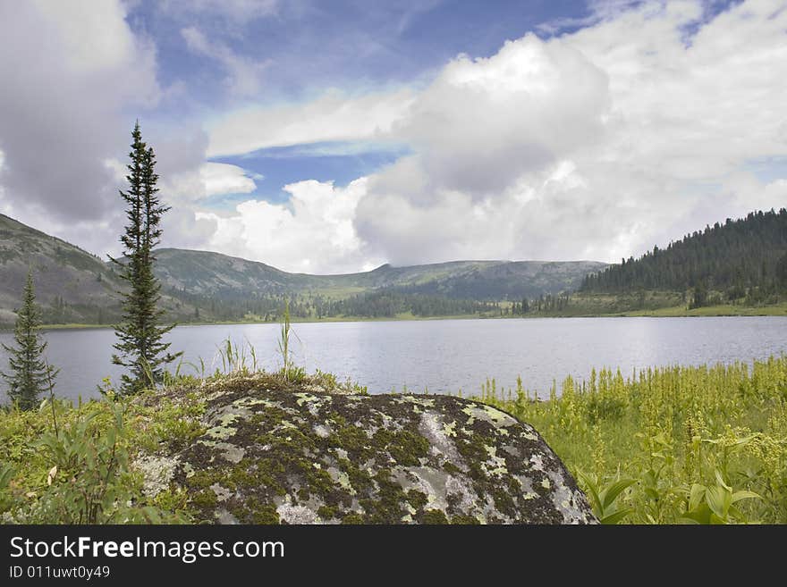 Kind on mountain lake. A stone with a lichen in the foreground.