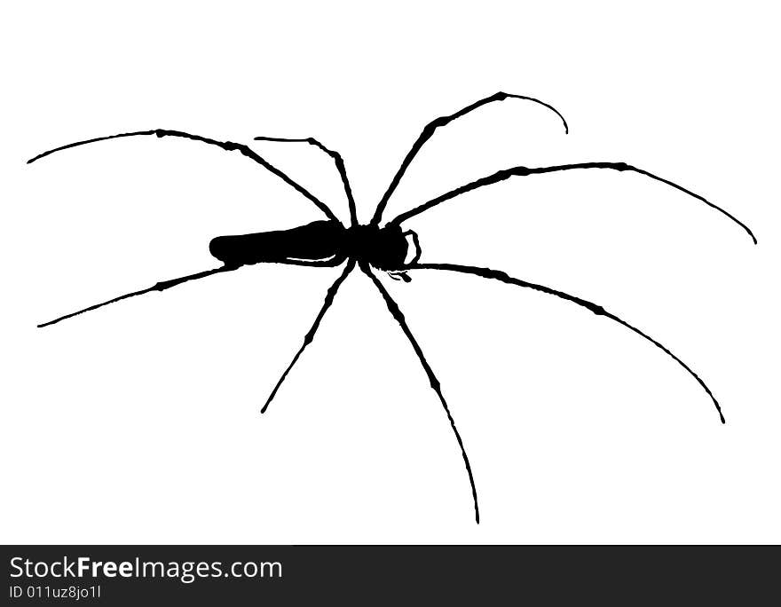 Indonesia: spider , Vector