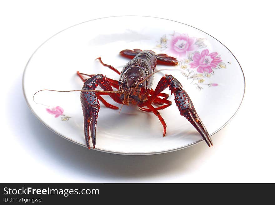 A lobster isolated on white bowl