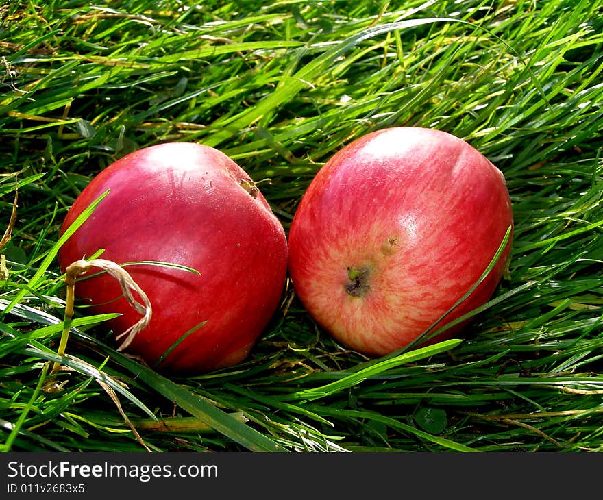 Summer apples in green grass