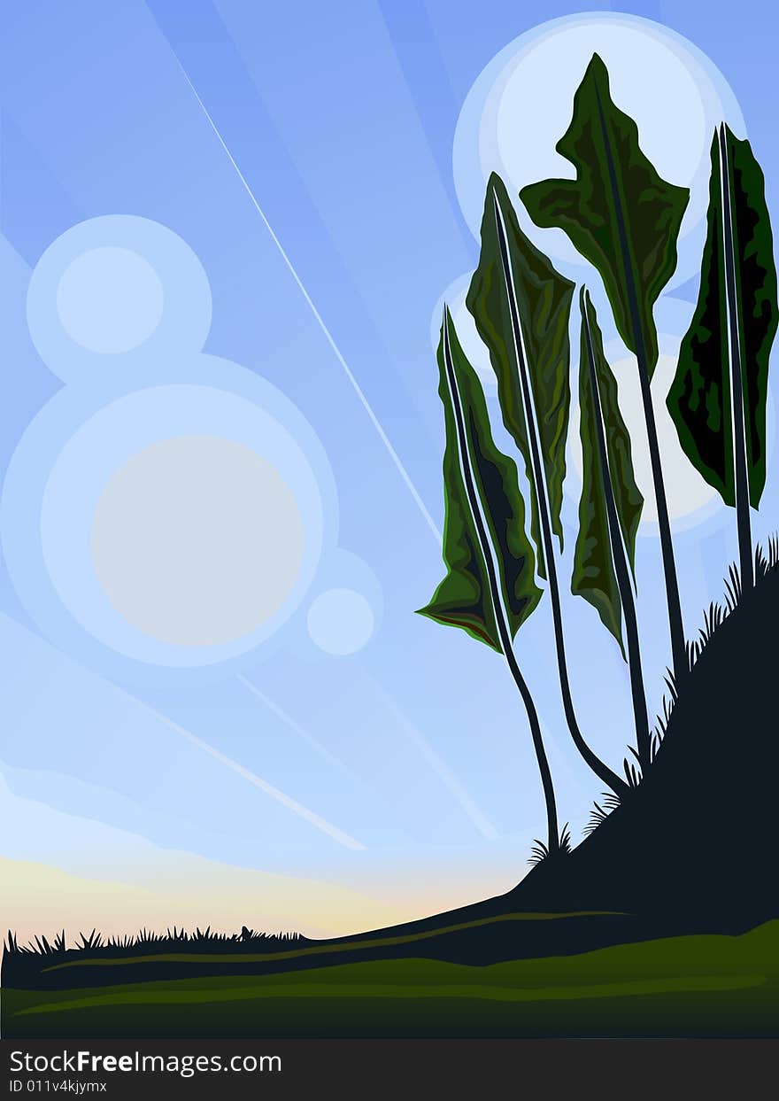 Vector background of sunset in the forest. Vector background of sunset in the forest