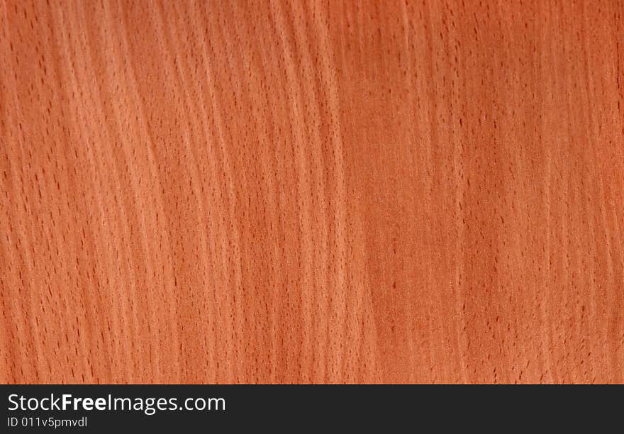 Wood Texture