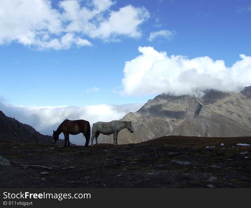 Beautiful Sichuan