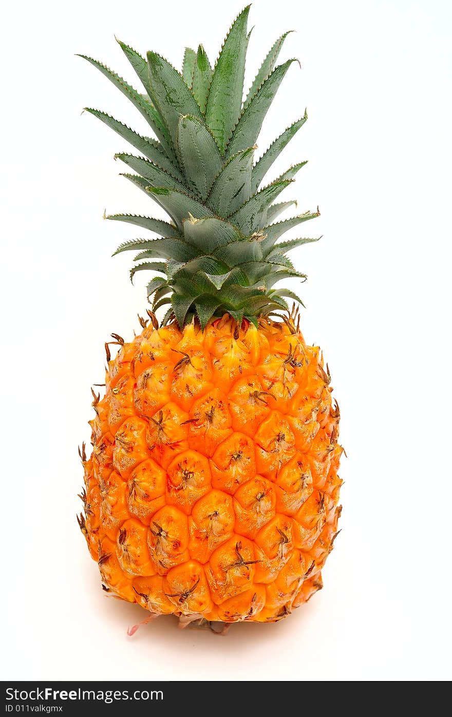 Fruit of the pineapple with green bunch sheet on white background. Fruit of the pineapple with green bunch sheet on white background