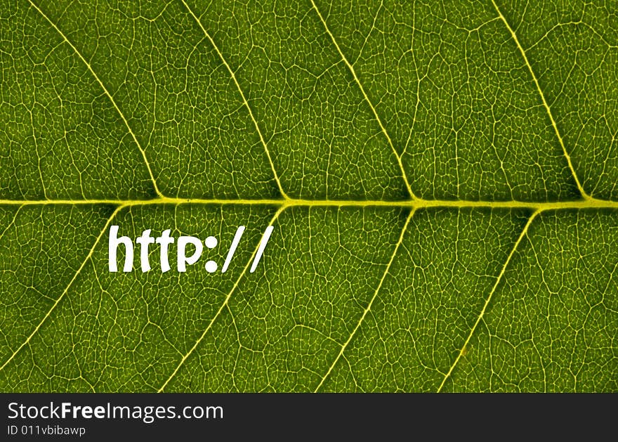 Green leaf texture with http:// sign. Green leaf texture with http:// sign