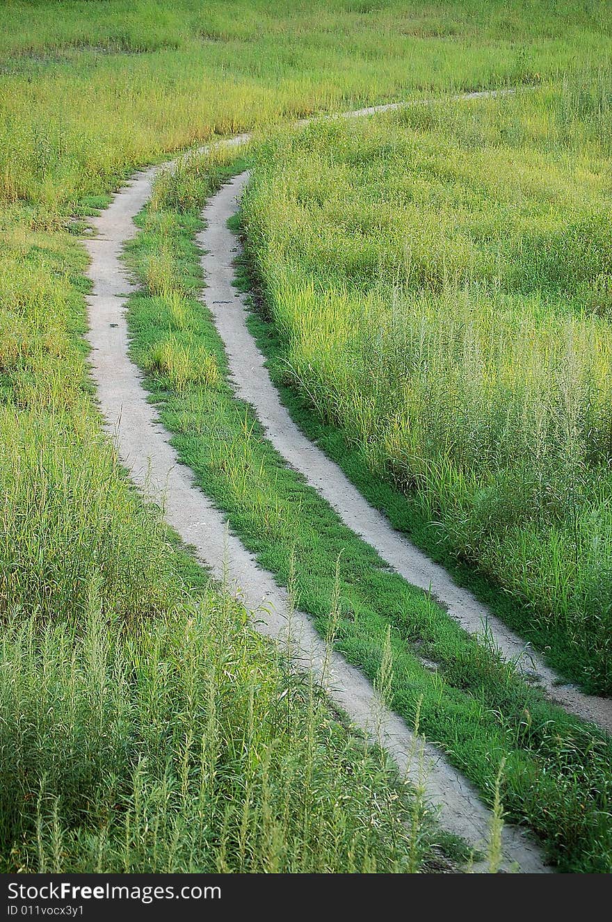 Road In Grassland