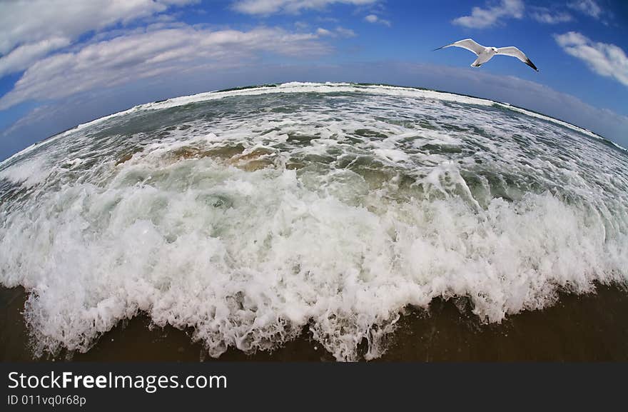 Flight of the seagull above the gale sea.