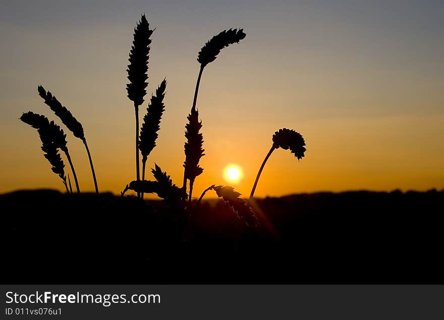 An evening in summer with nice sunset. An evening in summer with nice sunset