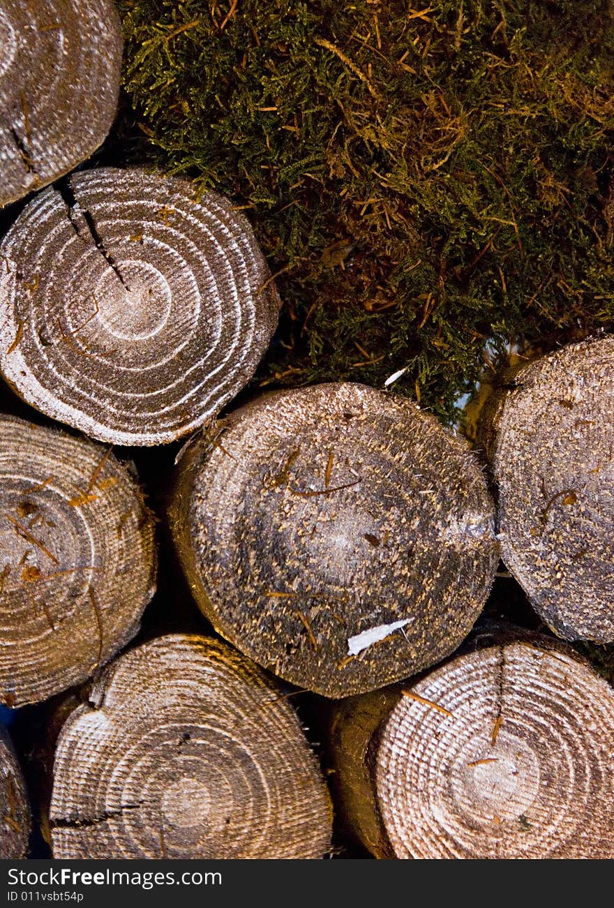 Circular Logs and dried up Grass. Circular Logs and dried up Grass