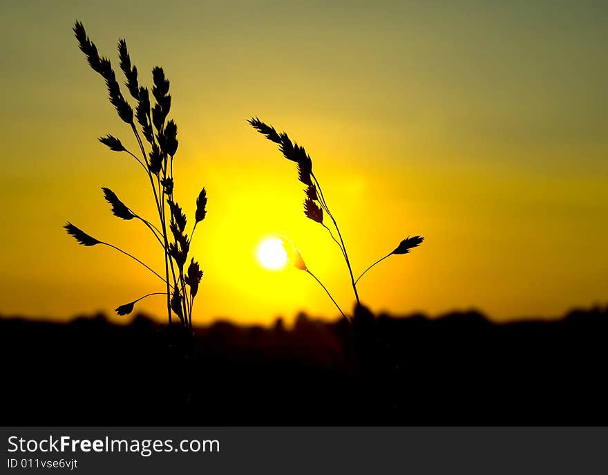 An evening in summer with nice sunset