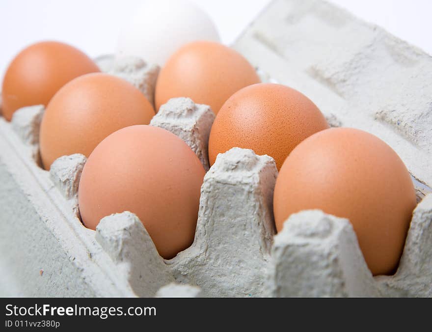 Eggs in cells on white background