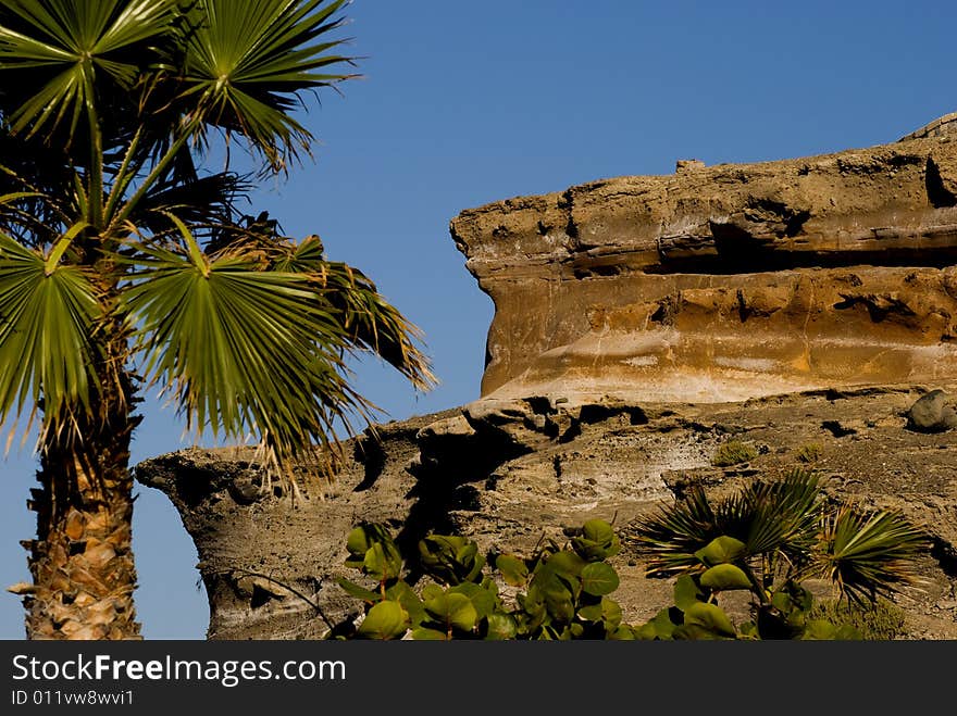 Rocks and palms on Tenerife island Spain. Rocks and palms on Tenerife island Spain