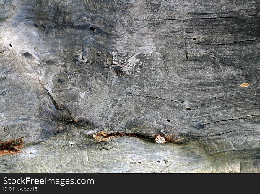 A close-up of tree bark. Useful for textures and backgrounds. A close-up of tree bark. Useful for textures and backgrounds.