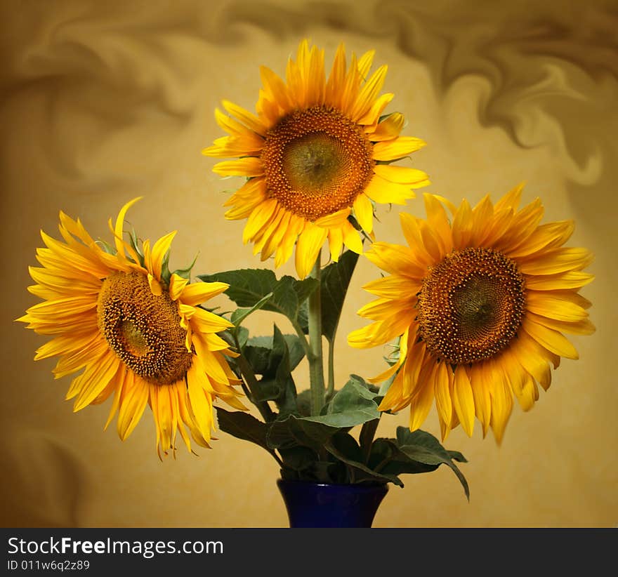 Clouse up of sunflowers