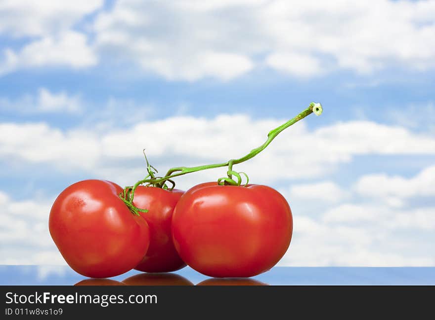 Three tomatoes