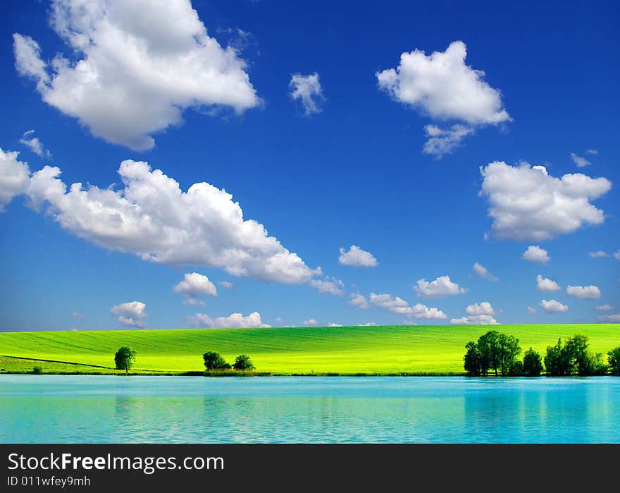 Field on a background of the blue sky. Field on a background of the blue sky