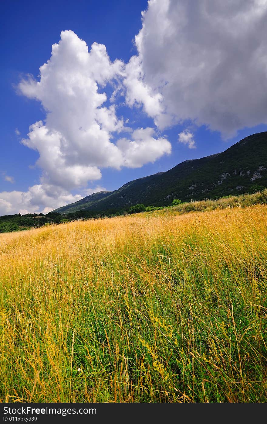 A summer field in the Abruzzo Region, Central Italy. A summer field in the Abruzzo Region, Central Italy