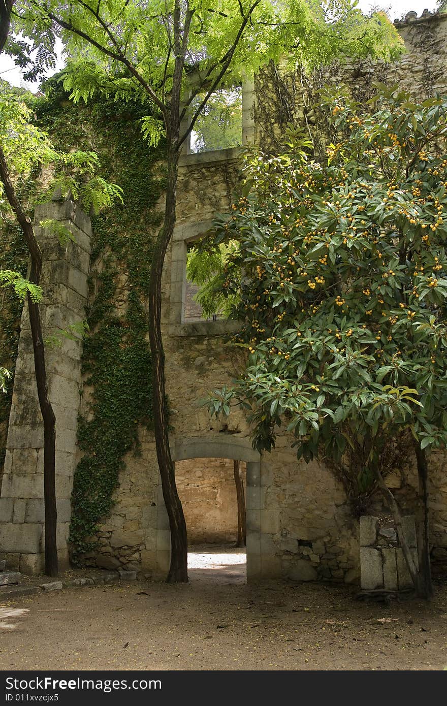 Walls and green in old city of Gerona