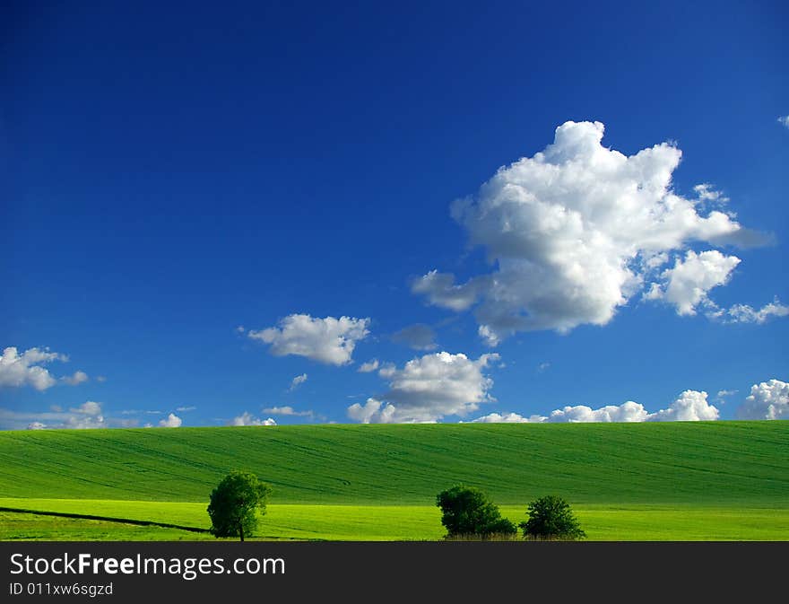 Field on a background of the blue sky