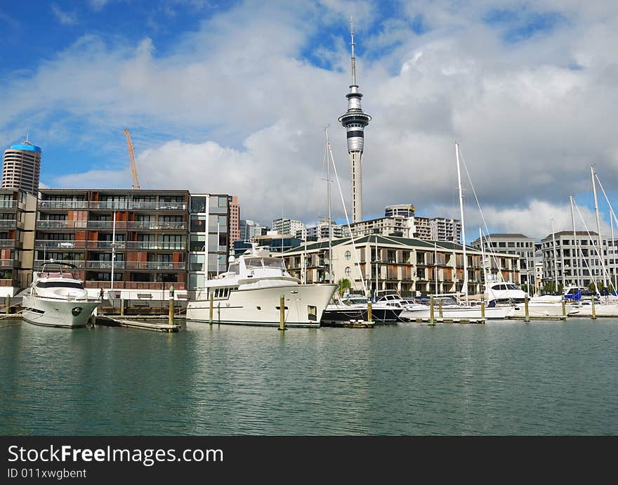 Yachts at Auckland Harbor