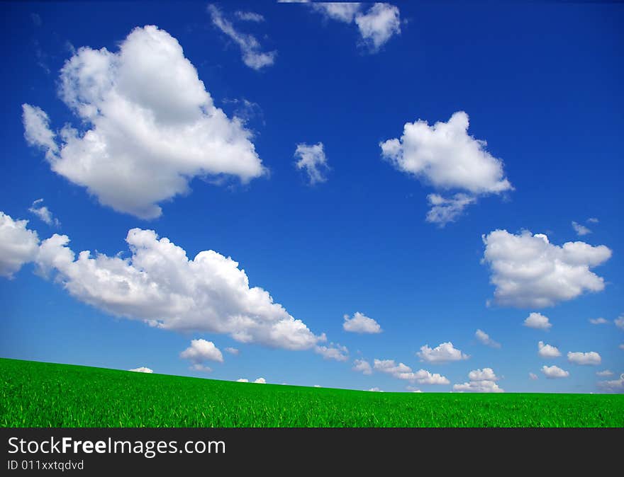 Field on a background of the blue sky. Field on a background of the blue sky