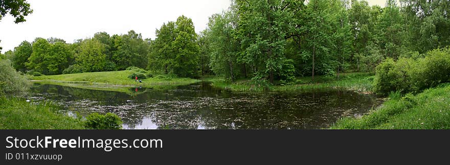 Panoramic photo of the lake in the forest